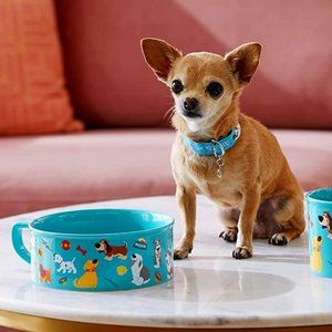 Disney Dogs Pet Bowl - Oh My